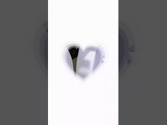 किरी वीडियो 2