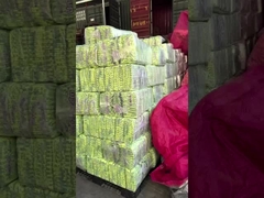 एकल समूह के डायपर